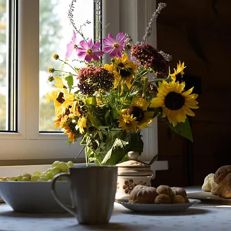 Liska Holiday home *