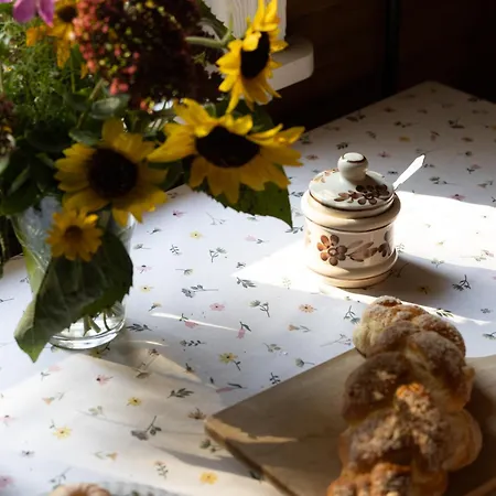 Liska Holiday home *