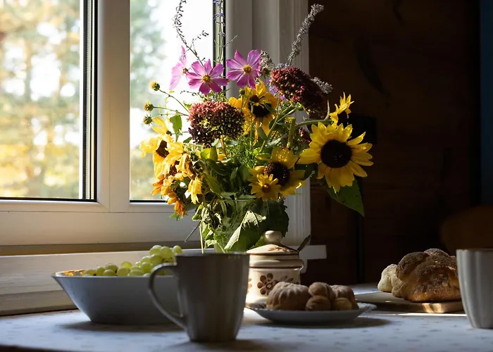 Liska Hébergement de vacances *